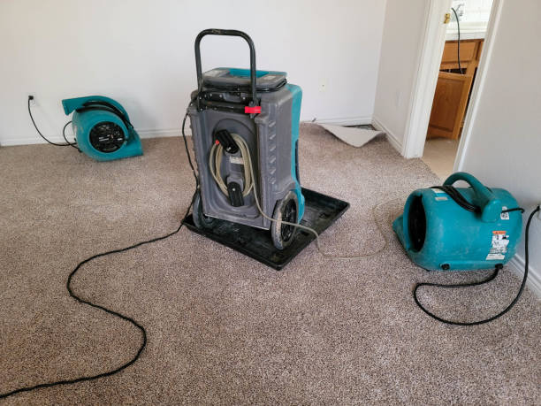 Best Flood restoration services  in Cactus Flats, AZ