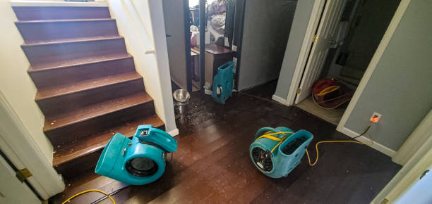 Best Emergency water extraction  in Cactus Flats, AZ
