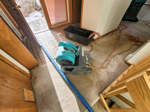 Best 24/7 water damage repair  in Cactus Flats, AZ