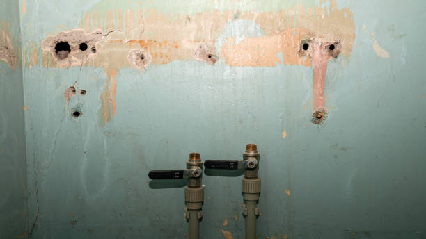 Carpet water damage restoration in Cactus Flats, AZ